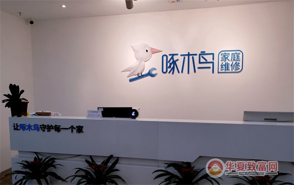 啄木鸟家庭维修加盟